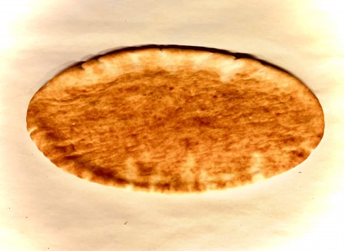 Extra Pitta